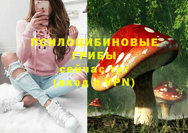 Альфа ПВП Коряжма