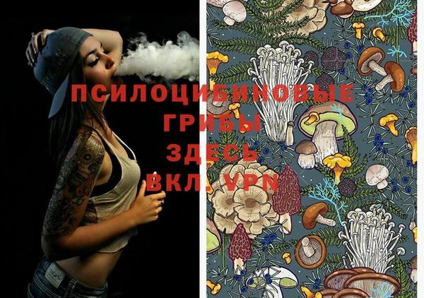 Альфа ПВП Коряжма